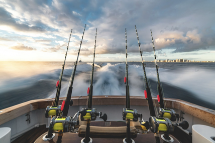 From Hobby to Sport: Taking Your Fishing Game to the Next Level